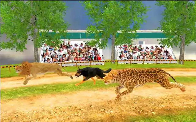 Play Crazy Animal Racing