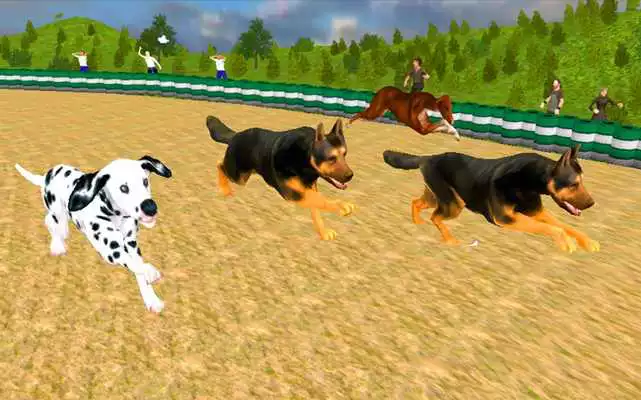 Play Crazy Animal Racing