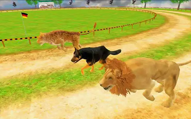Play Crazy Animal Racing