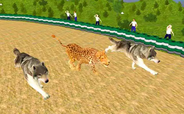 Play Crazy Animal Racing