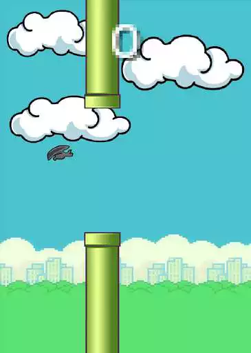 Play Crazy Bat  and enjoy Crazy Bat with UptoPlay