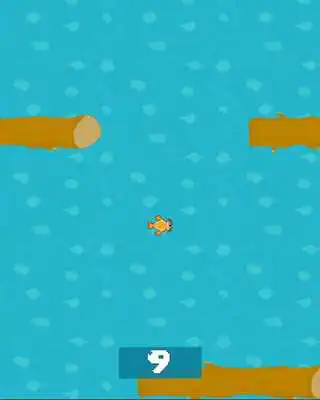 Play Crazy Carp