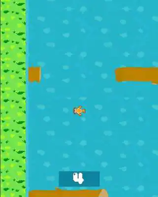 Play Crazy Carp