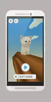 Play Crazy Cat Lema