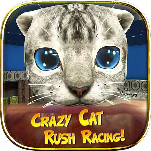 Play Crazy Cat Rush Racing Run Kitty Craft APK Play Crazy Cat Rush Racing Run Kitty Craft APK
