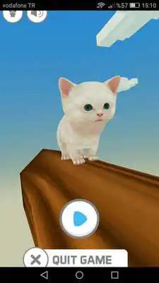 Play Crazy Cat Tomy
