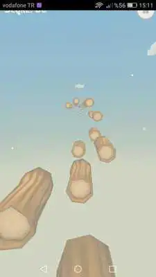 Play Crazy Cat Tomy