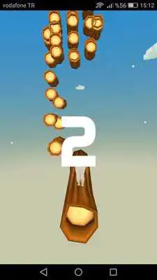 Play Crazy Cat Tomy