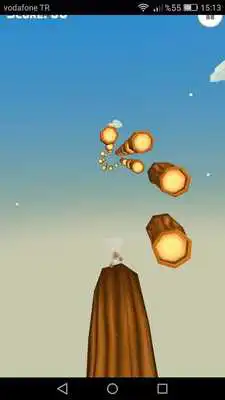 Play Crazy Cat Tomy