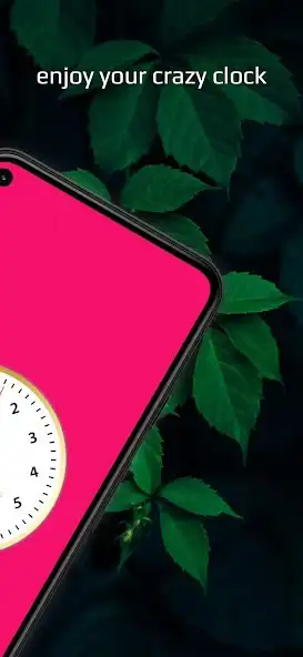 Play Crazy Clock!