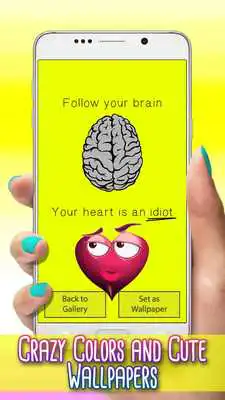 Play Crazy Colors  Cute Wallpapers