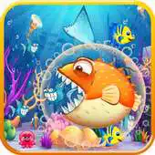 Free play online Crazy Fish Eat Fish APK Free play online Crazy Fish Eat Fish APK