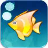 Free play online Crazy Fish Online Game APK Free play online Crazy Fish Online Game APK