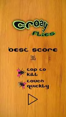 Play Crazy Flies