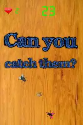 Play Crazy Flies