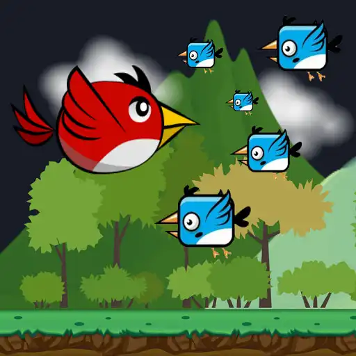 Play Crazy Forest Birds APK