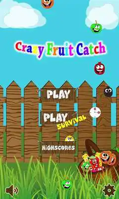Play Crazy Fruit Catch