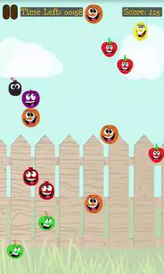 Play Crazy Fruit Catch