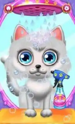 Play Crazy Hair Salon Cat Makeover