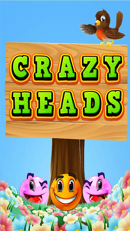 Play Crazy Heads