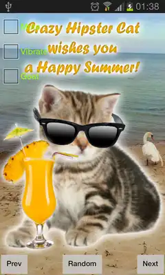 Play Crazy Hipster Cat