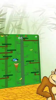 Play Crazy Monkey Jump Bananas