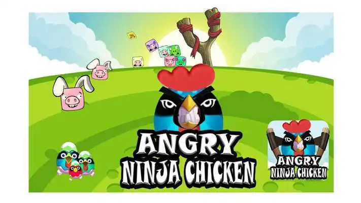 Play Crazy Ninja Chicken Box Game