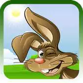 Free play online Crazy Rabbit Run And Jump APK