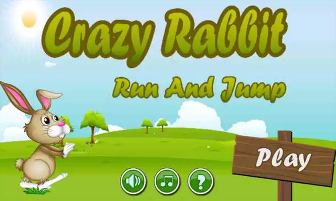 Play Crazy Rabbit Run And Jump