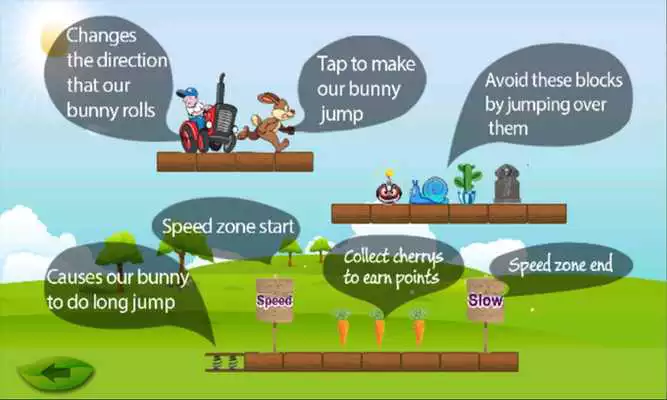 Play Crazy Rabbit Run And Jump