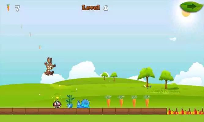 Play Crazy Rabbit Run And Jump