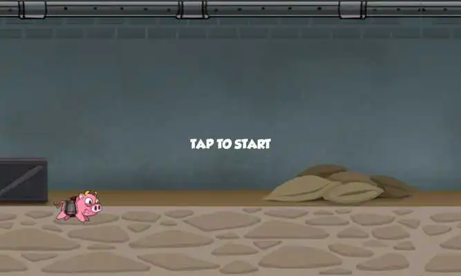Play Crazy Rocket Pig
