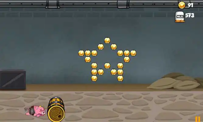 Play Crazy Rocket Pig