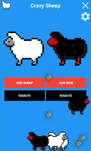 Play Crazy Sheep