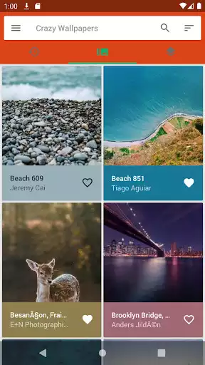 Play Crazy Wallpapers
