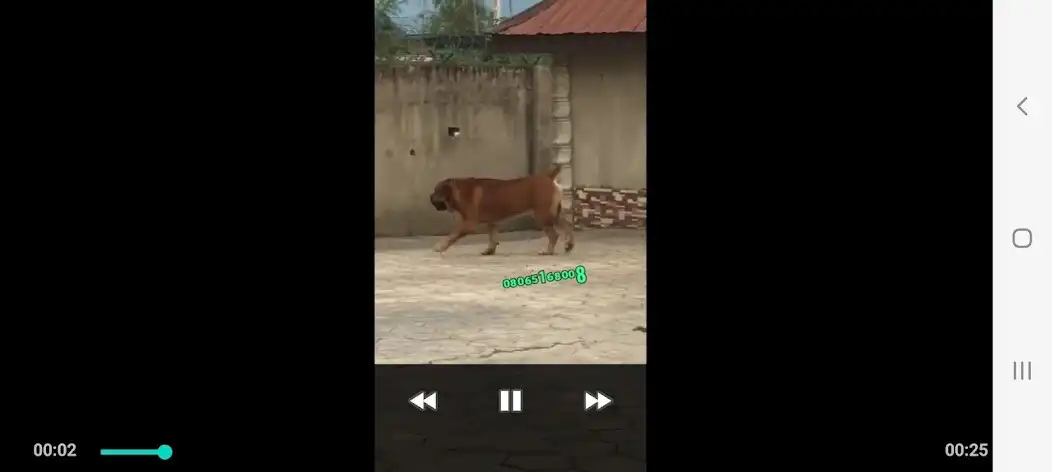 Play Crdownload File Viewer, Opener and enjoy Crdownload File Viewer, Opener with UptoPlay Play Crdownload File Viewer, Opener and enjoy Crdownload File Viewer, Opener with UptoPlay