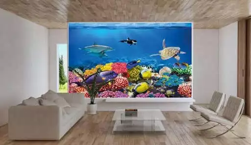 Play Creative Aquarium Design and Concept