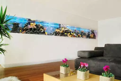 Play Creative Aquarium Design and Concept