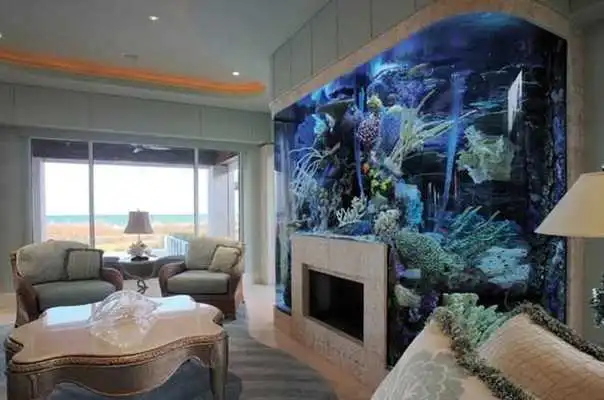 Play Creative Aquarium Design and Concept