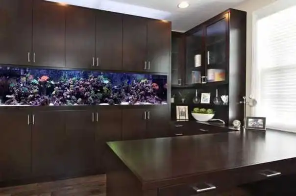 Play Creative Aquarium Design and Concept