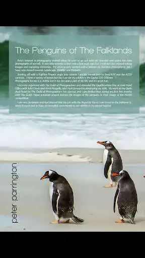 Play Creative Light as an online game Creative Light with UptoPlay