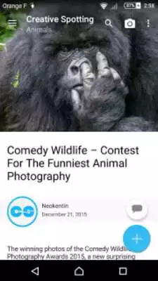 Play Creative Spotting