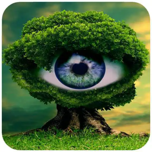 Free play online Creative Wallpaper APK