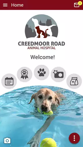 Play Creedmoor Rd Animal Hospital  and enjoy Creedmoor Rd Animal Hospital with UptoPlay