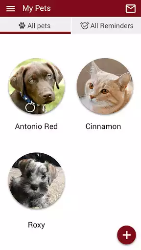 Play Creedmoor Rd Animal Hospital as an online game Creedmoor Rd Animal Hospital with UptoPlay