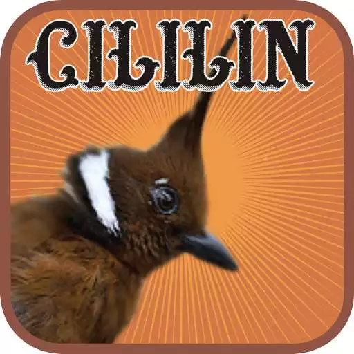 Free play online Crested Jay APK Free play online Crested Jay APK