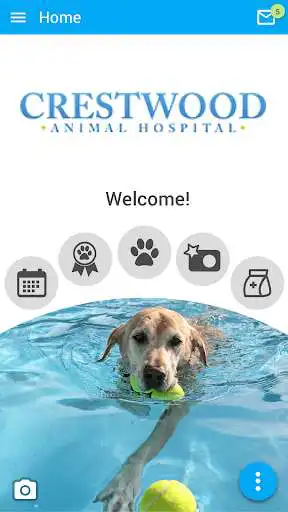 Play Crestwood Animal Hospital  and enjoy Crestwood Animal Hospital with UptoPlay