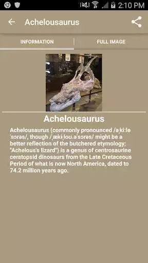 Play Cretaceous dinosaurs Play Cretaceous dinosaurs