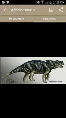 Play Cretaceous dinosaurs Play Cretaceous dinosaurs