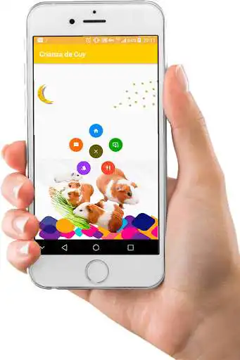 Play Crianza de Cuy as an online game Crianza de Cuy with UptoPlay